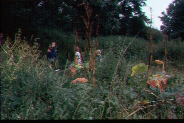 015.jpg