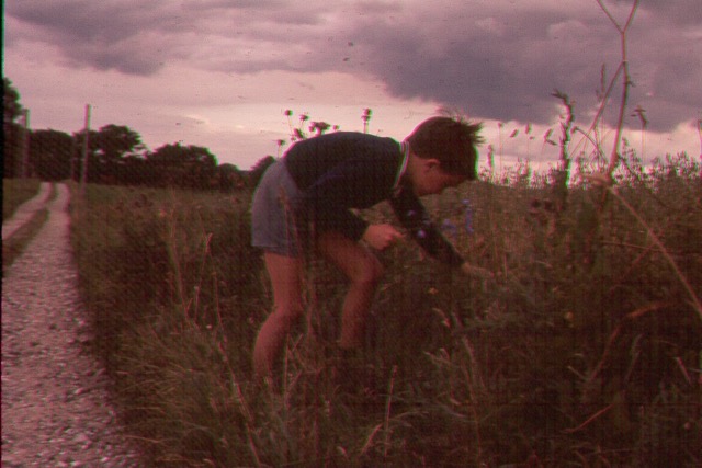 017.jpg
