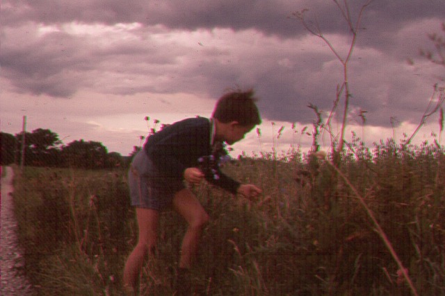 018.jpg