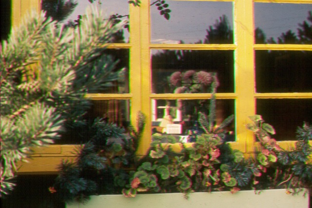 044.jpg