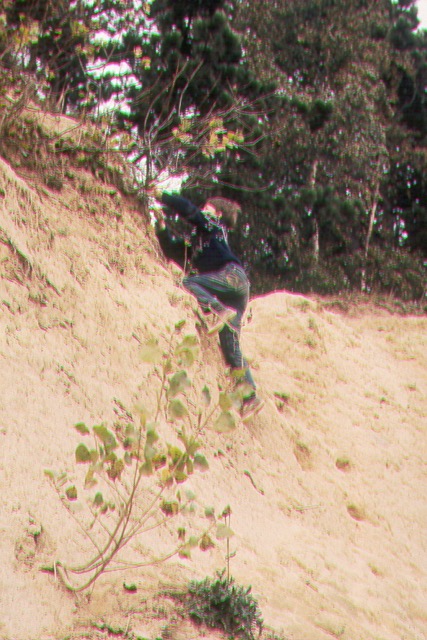 050.jpg
