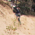 050.jpg