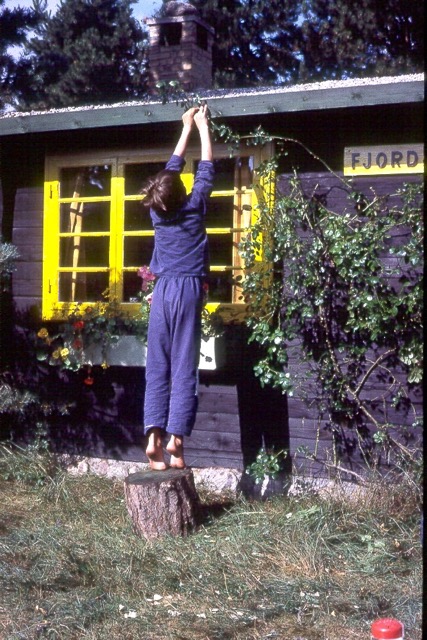 040.jpg