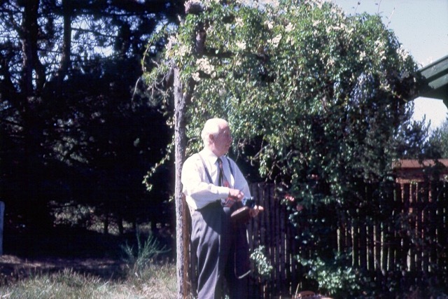 041.jpg