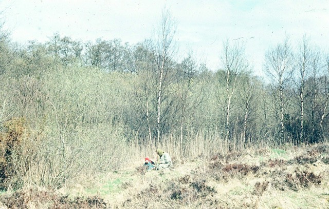 082.jpg