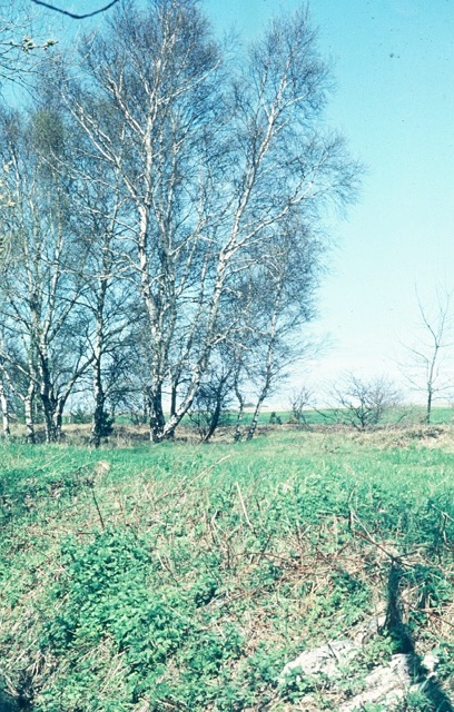 097.jpg