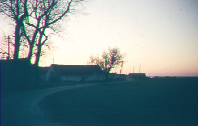 050.jpg