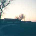 050.jpg