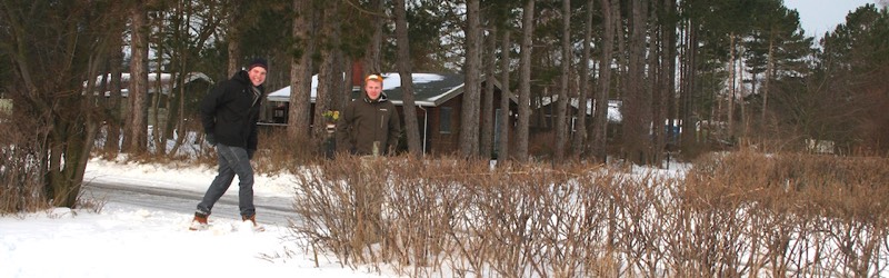 Stacks Image 3523